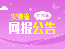 2020年安徽省碩士研究生招生考試網報公告匯總