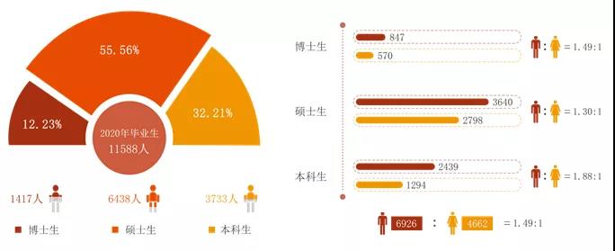 學歷分布與性別比例